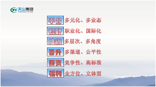 太阳城官网集团
